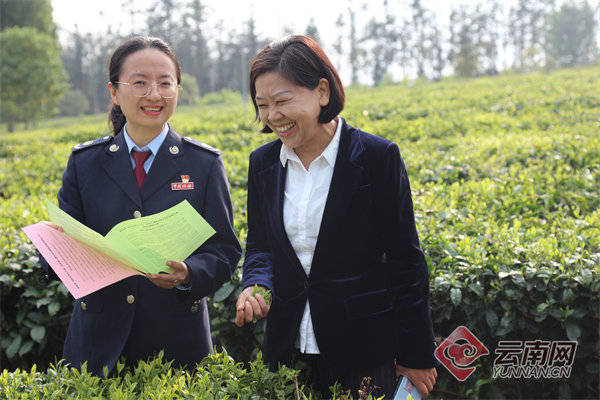 云南税务局长是谁呢_云南税局_云南省税务局领导介绍