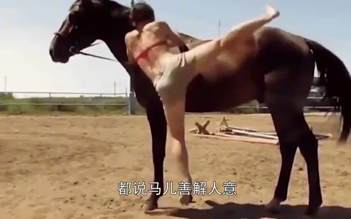 训马师_训马师_训马师