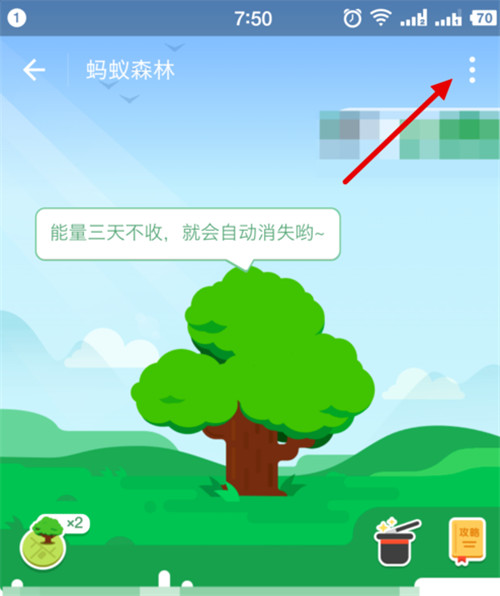 蚂蚁森林今日答题_蚂蚁森林今日答题_蚂蚁森林今日答题