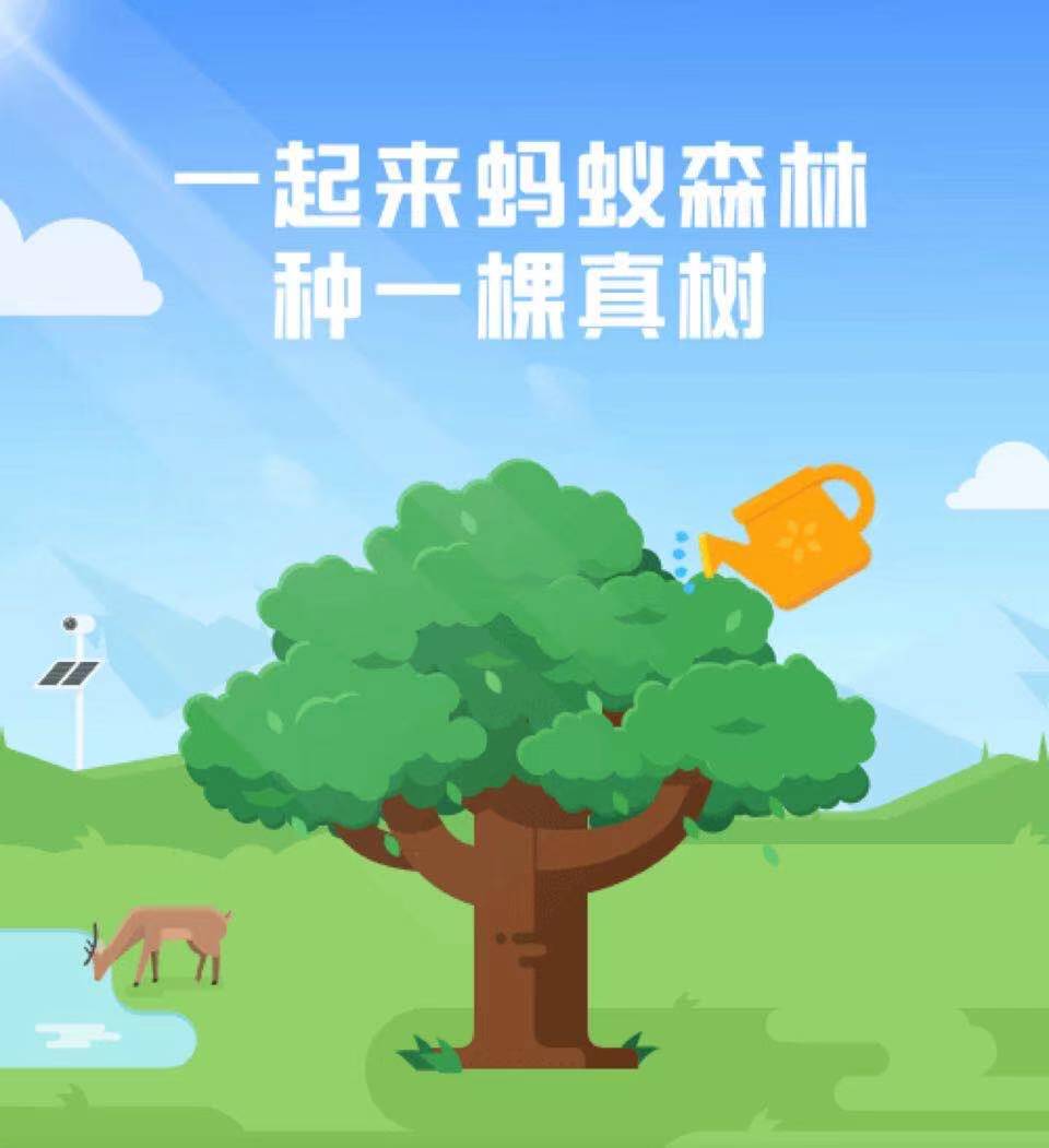 蚂蚁森林今日答题_蚂蚁森林今日答题_蚂蚁森林今日答题