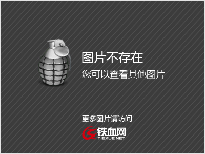 炎武王种族值_炎武王_炎武王性格配招