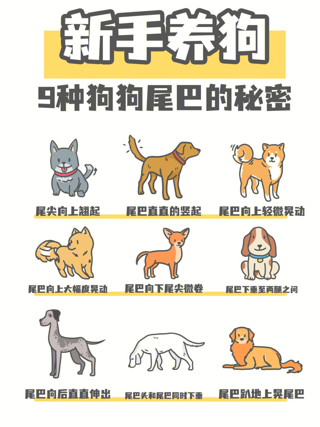 猫狗翻译软件_猫狗翻译器小程序_猫狗翻译器