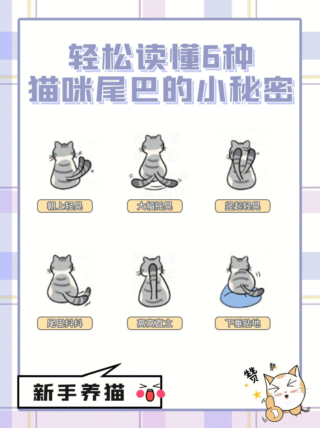 猫狗翻译器_猫狗翻译器小程序_猫狗翻译软件