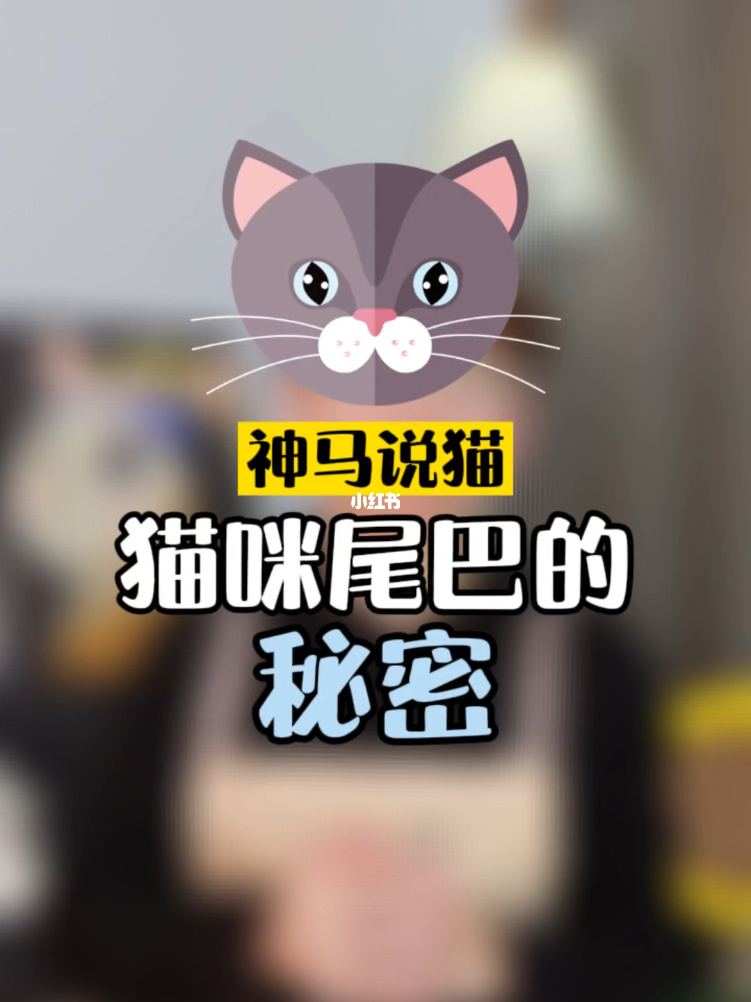 猫狗翻译器_猫狗翻译软件_猫狗翻译器小程序