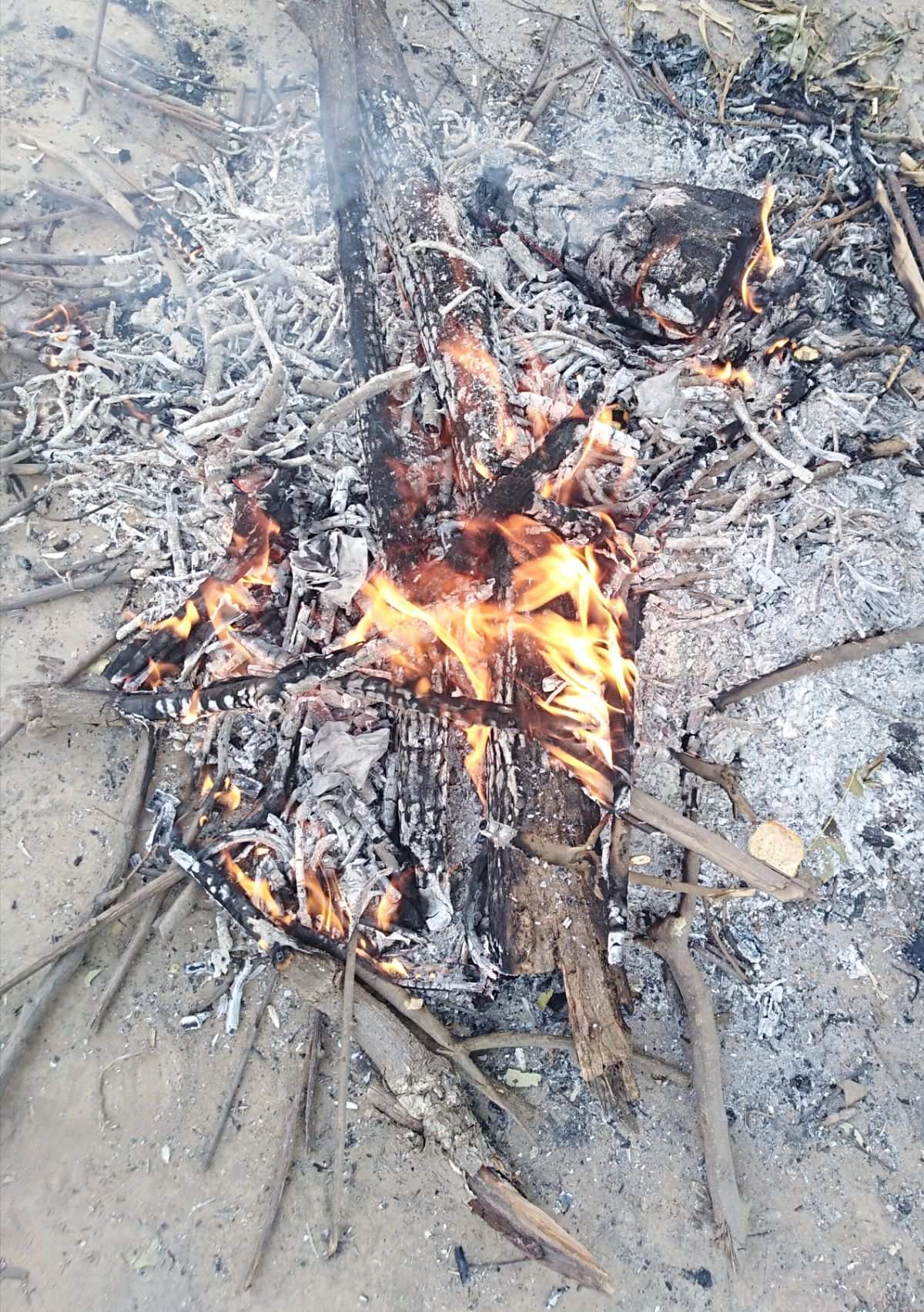 心力物语_心力物语神器_心力物语服事技能