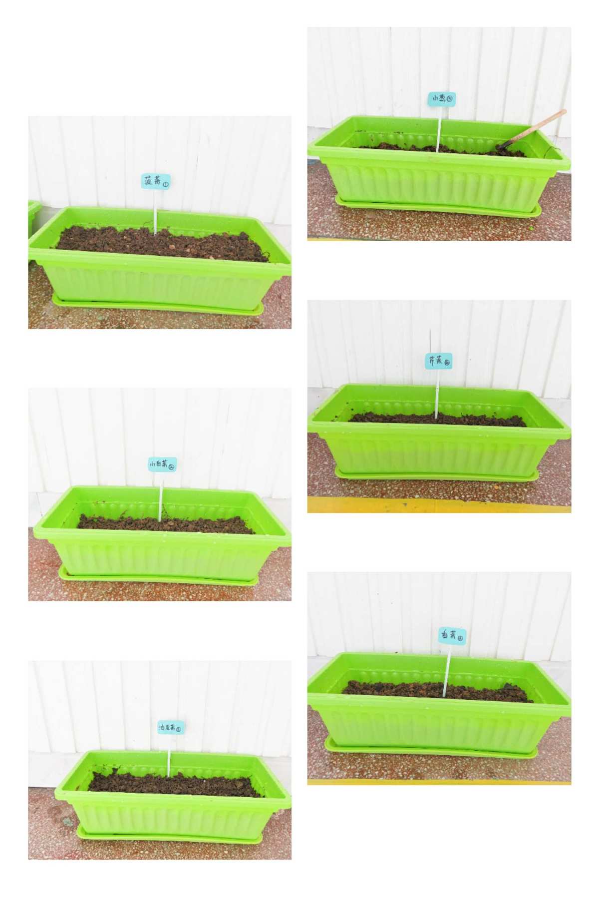 水果蔬菜游戏_蔬菜游戏_燃烧的蔬菜游戏