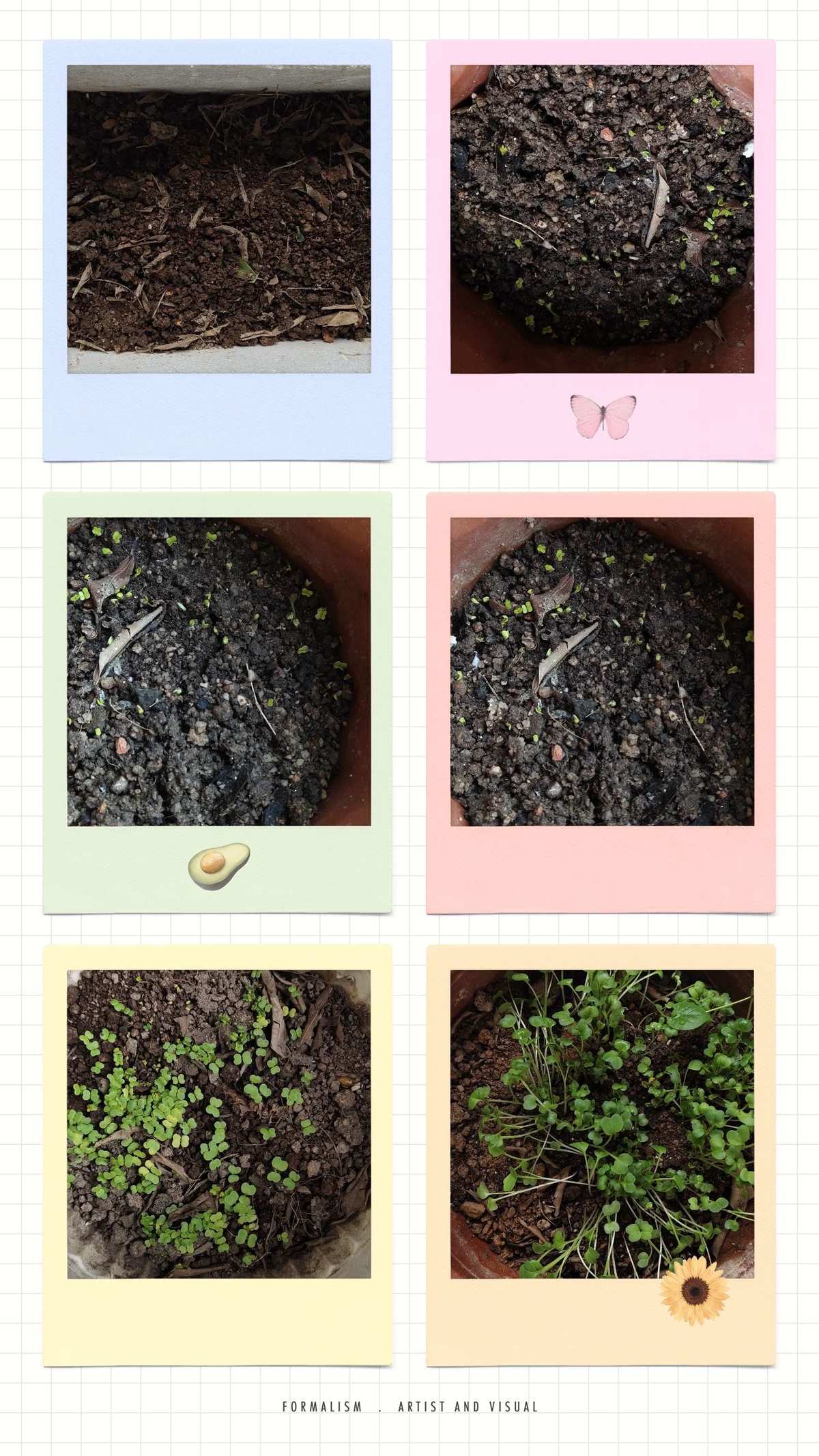 蔬菜游戏_燃烧的蔬菜游戏_水果蔬菜游戏