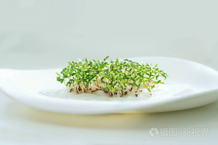 水果蔬菜游戏_燃烧的蔬菜游戏_蔬菜游戏
