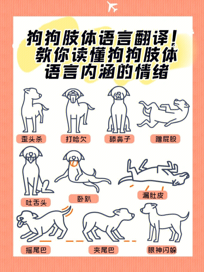翻译器狗语翻译器_在线人狗翻译_人狗翻译器