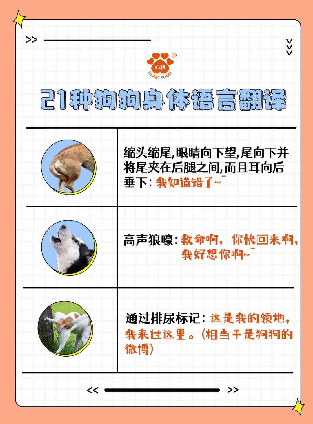 在线人狗翻译_人狗翻译器_翻译器狗语翻译器
