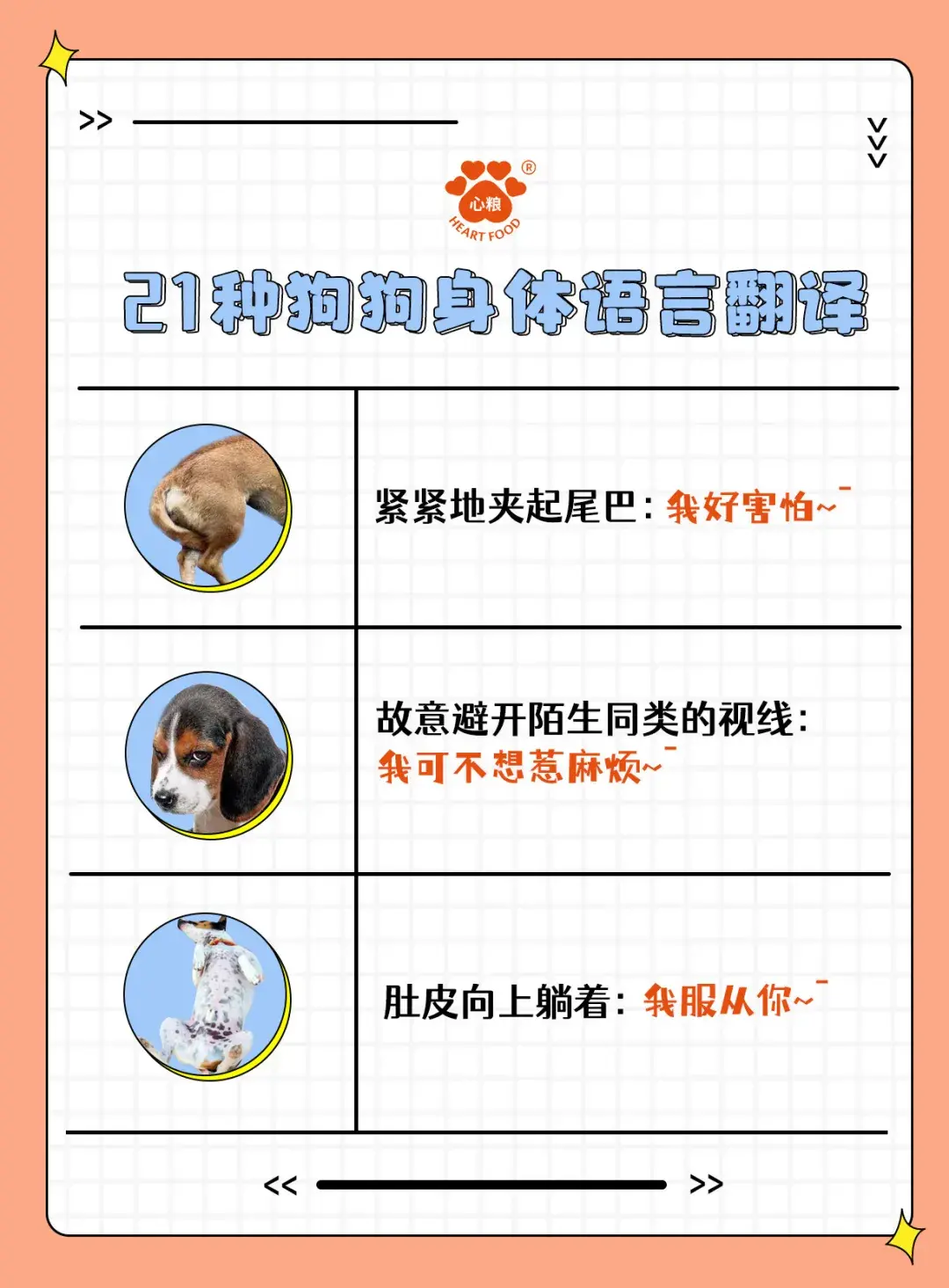 翻译器狗语翻译器_在线人狗翻译_人狗翻译器