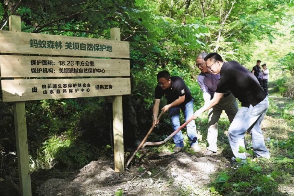 女精灵被兽人图片_女兽人_魔兽世界女兽人战士幻化