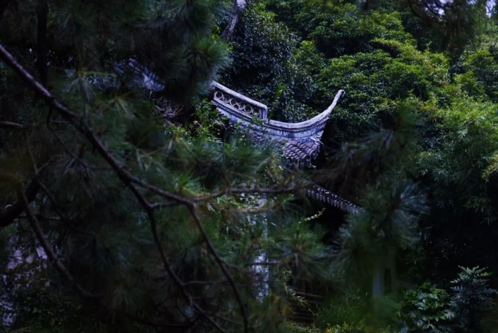 送上林赋的含义_赋送怎么读_赠赋的意思