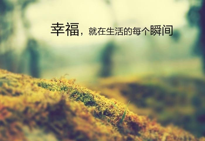 游戏人生与创业人生下载_性福人生下载_性福男人