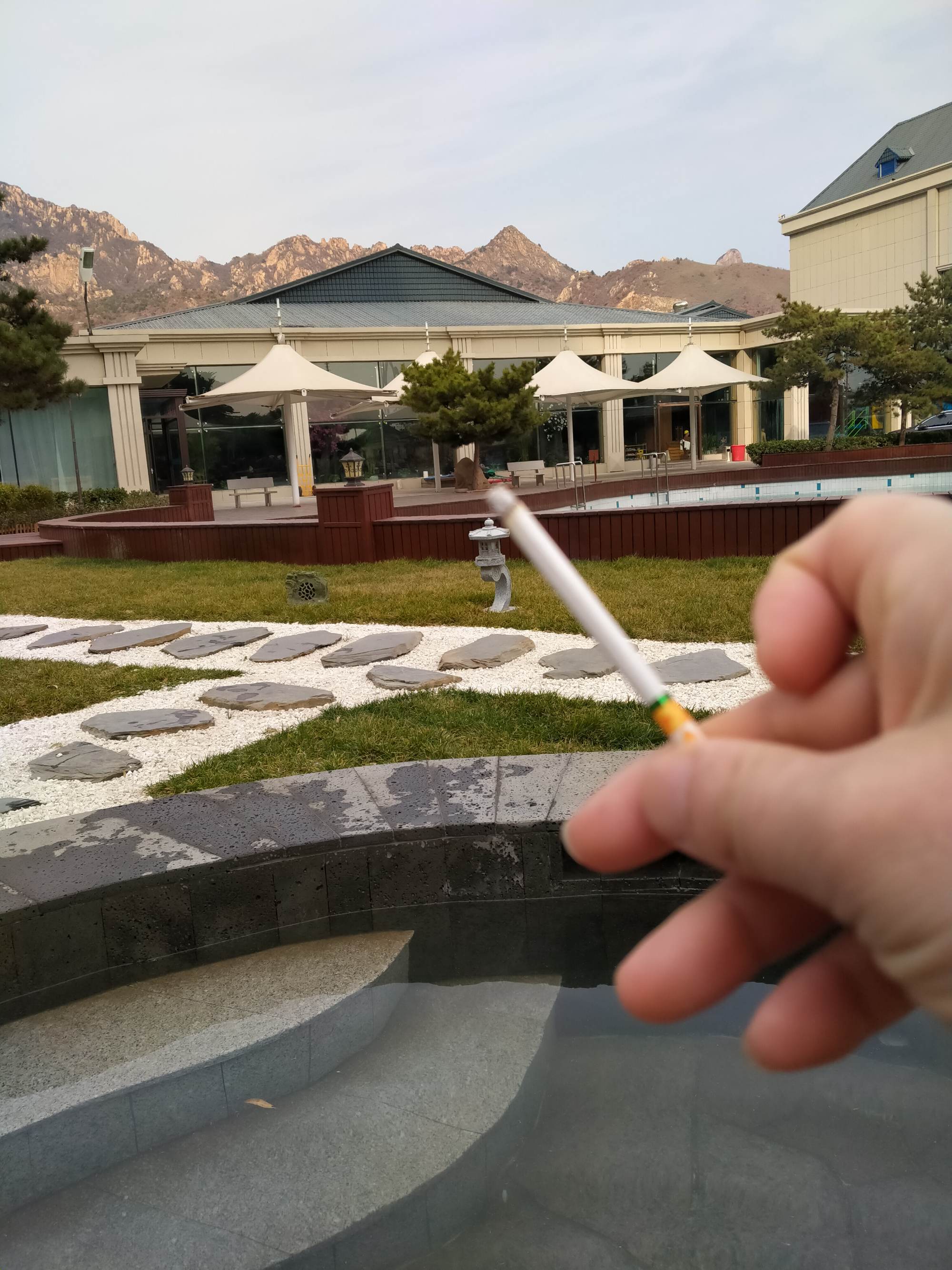 二手烟收购价格_二手烟品牌_粘粘世界二手烟