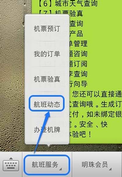 航班动态查询飞常准_航班信息动态查询飞常准_飞常准查航班