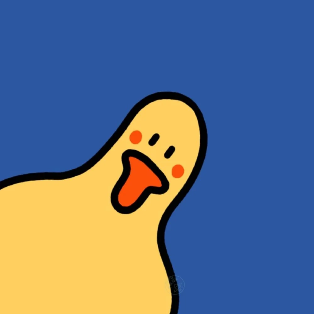 小黄鸡下载_小黄鸡下载ipad_小黄鸭下载