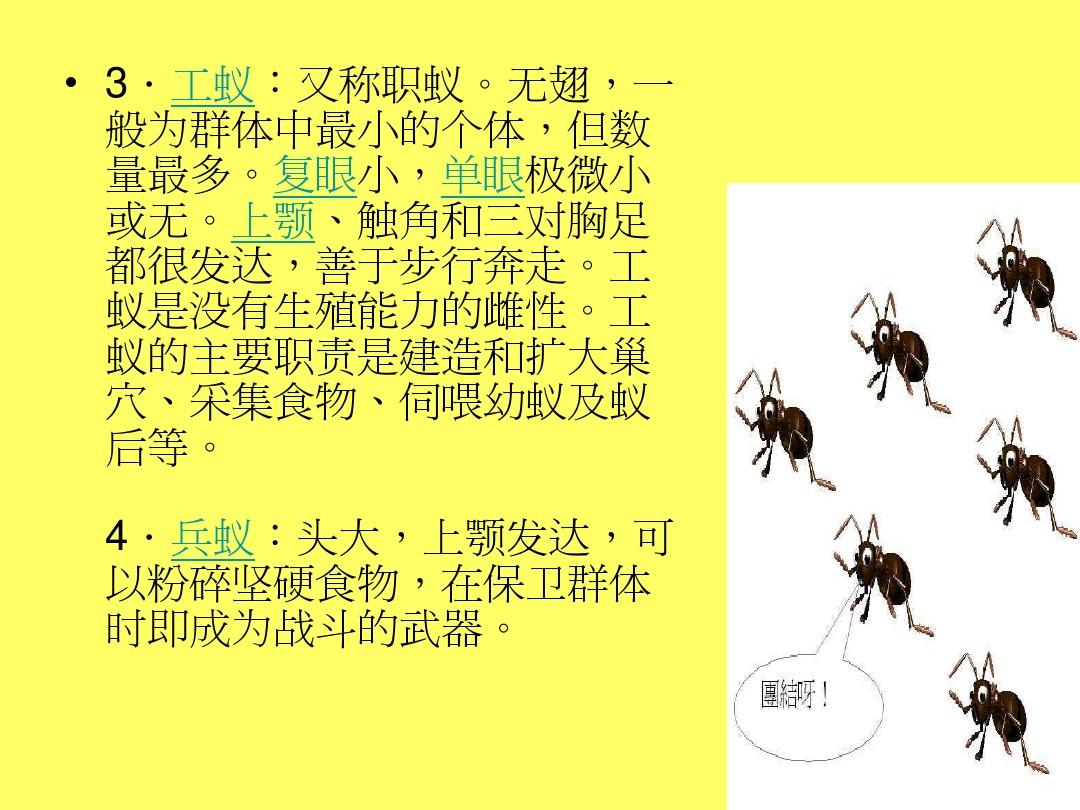 蚂蚁进化_蚂蚁进化3d_蚂蚁进化破解版无限资源免广告