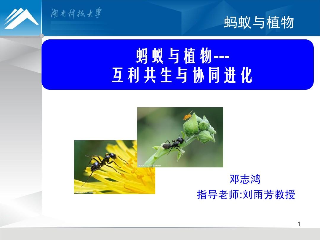 蚂蚁进化3d_蚂蚁进化破解版无限资源免广告_蚂蚁进化