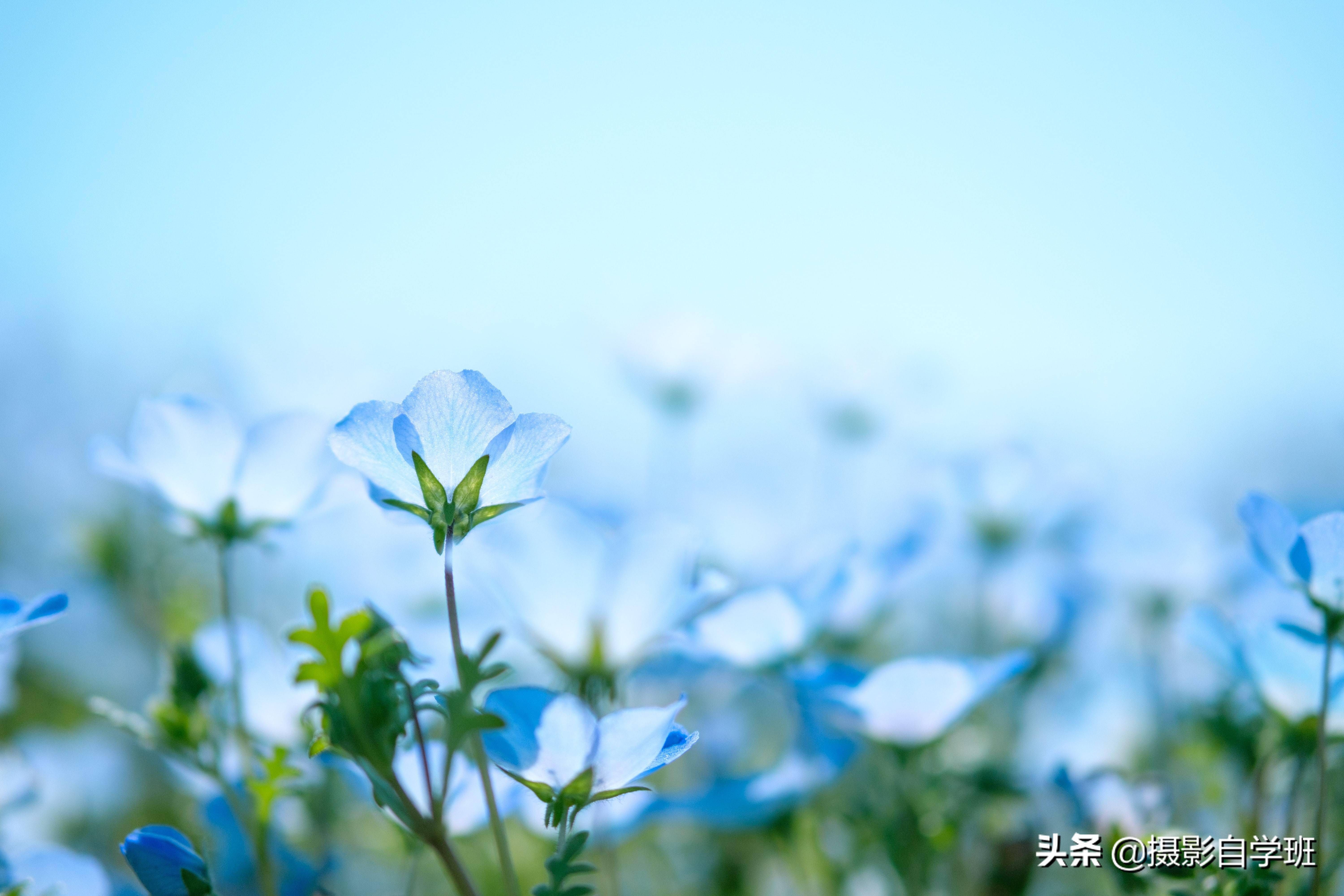 刘飞儿写真集_刘飞儿写真集_刘飞儿写真集
