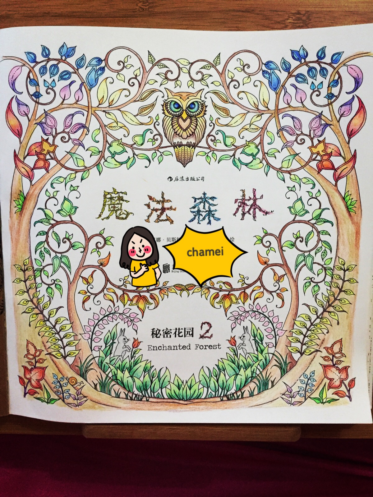 艾德思奇_艾乐奇_艾尔德利奇