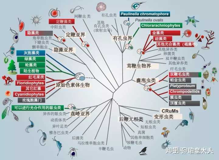 世界国际服版下载_世界国际服1.17_我的世界国际服1.19