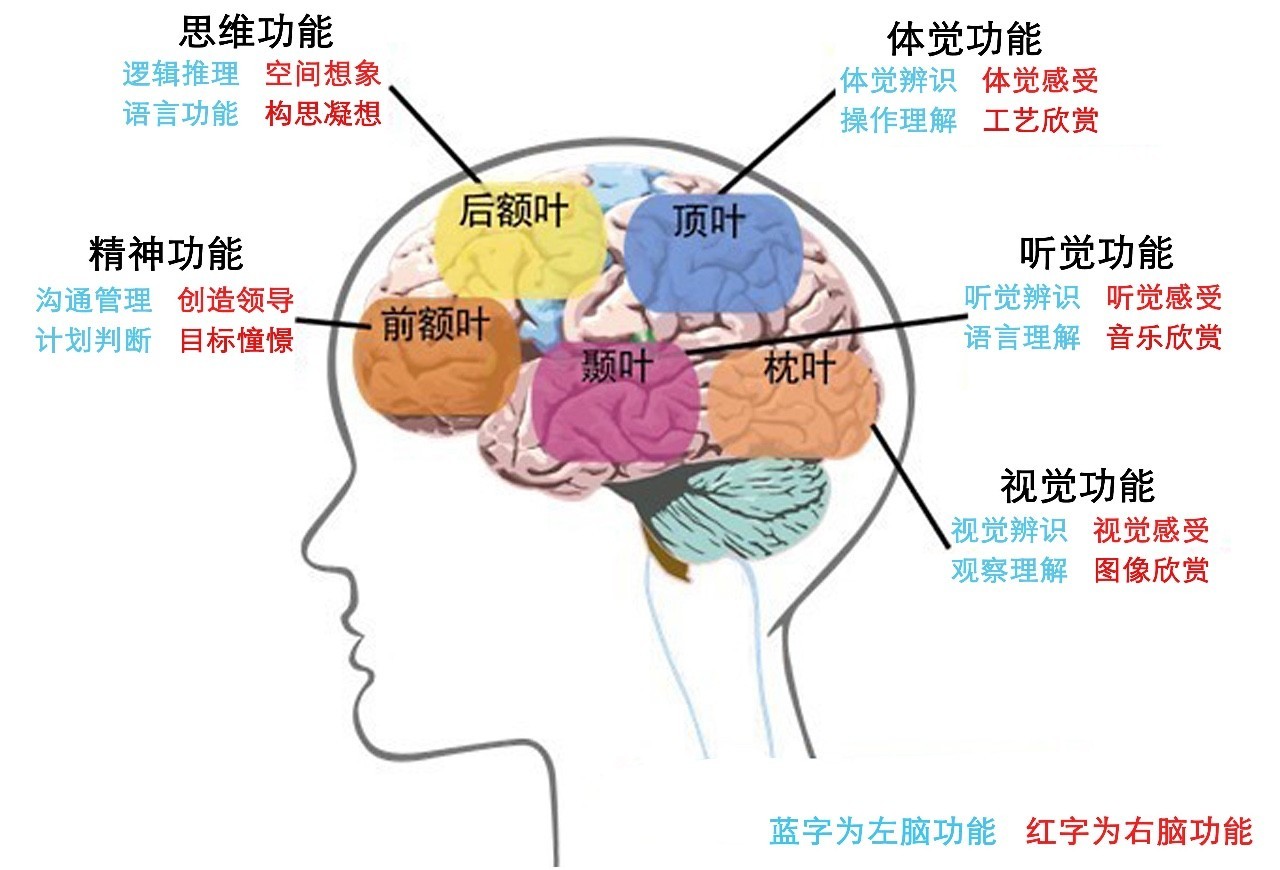 脑龄测试_脑龄测试小游戏_脑龄测试瞬间记忆