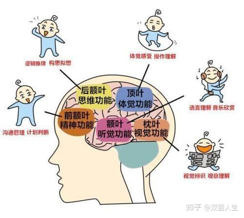 脑龄测试小游戏_脑龄测试_脑龄测试瞬间记忆