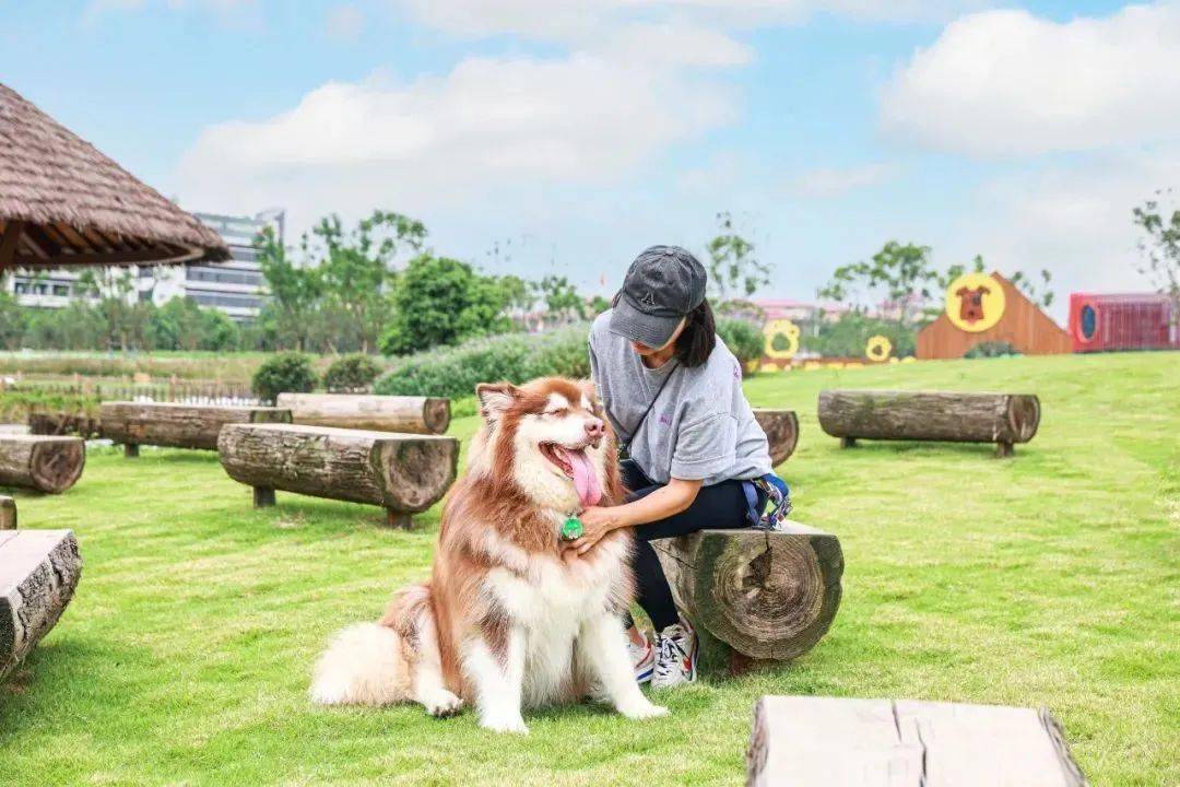 宠萌日常看视频怎么看_萌宠日常_宠萌日常app