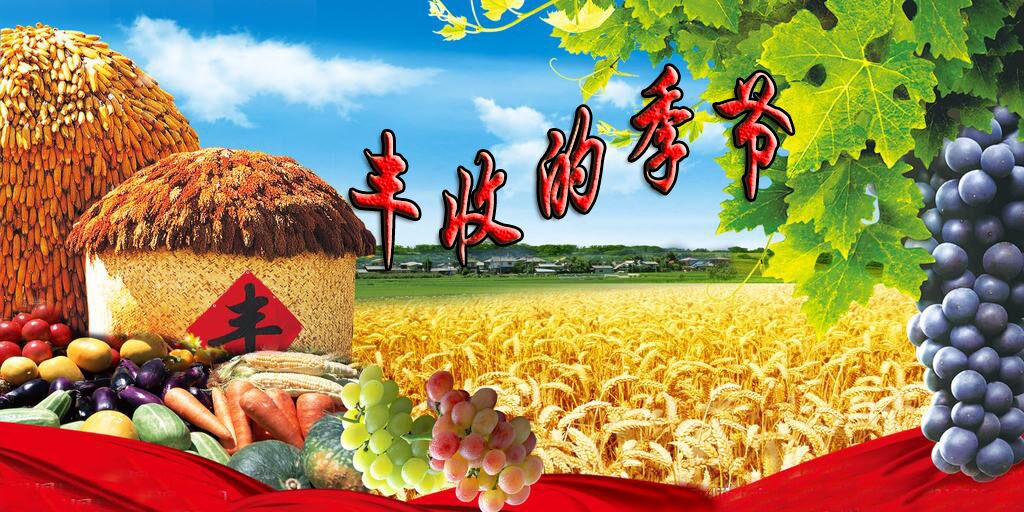 星露谷物语谢恩行程喜好_星露谷物语谢恩行程_星露谷物语行程