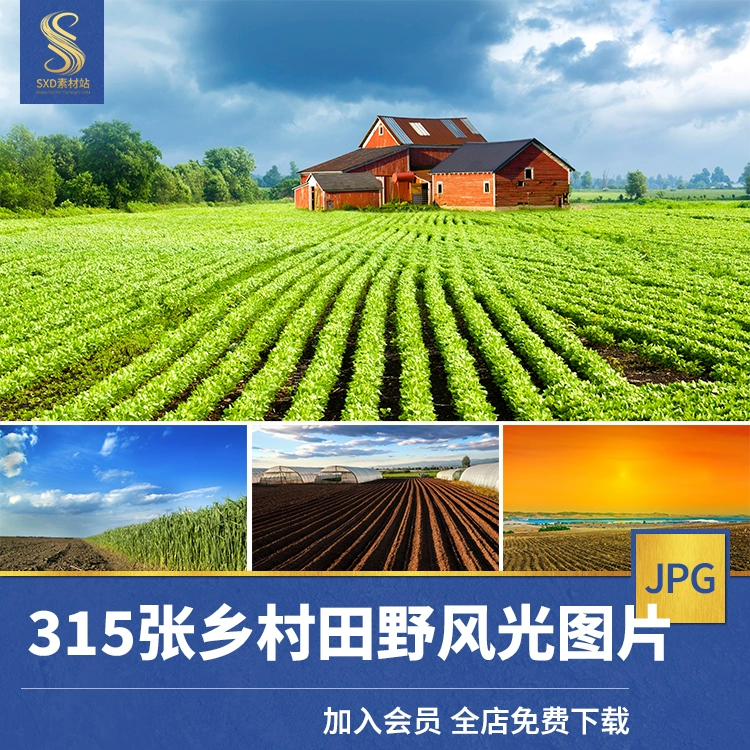 星露谷物语谢恩行程_星露谷物语谢恩行程喜好_星露谷物语行程