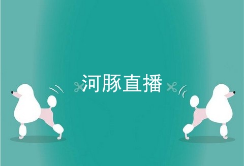 河豚直播_河豚直播间_河豚直播间怎么收费的