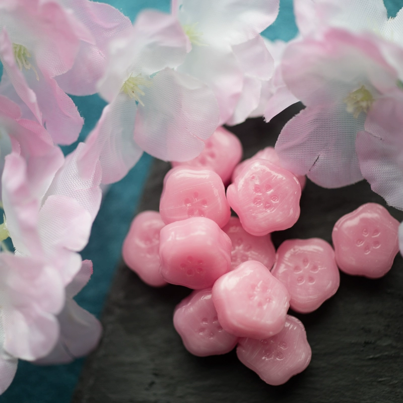 樱花校园里的怀孕糖_樱花校园怀孕剧_樱花校园怀孕药水的视频