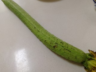 种植丝瓜视频_丝瓜短视频_丝瓜搭架视频教程