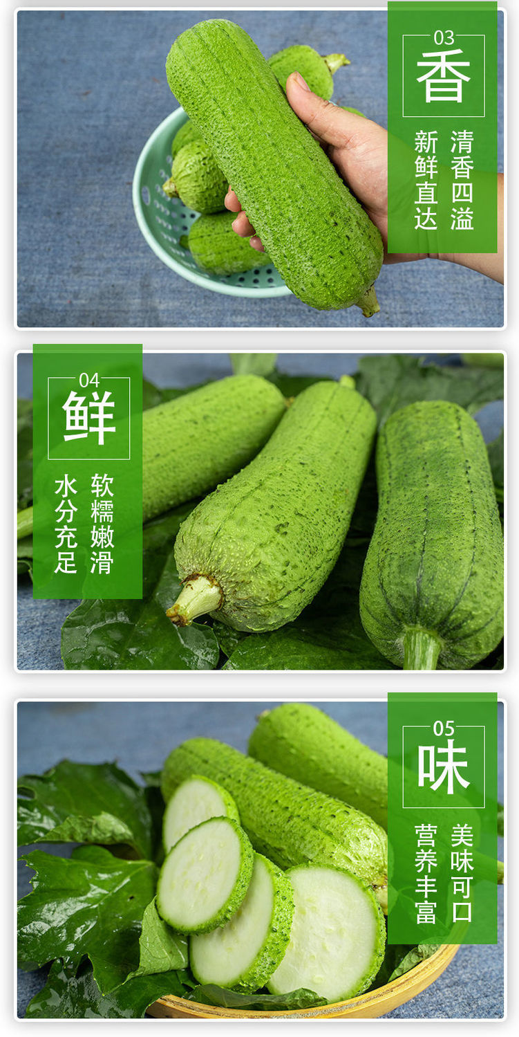 丝瓜搭架视频教程_丝瓜短视频_种植丝瓜视频