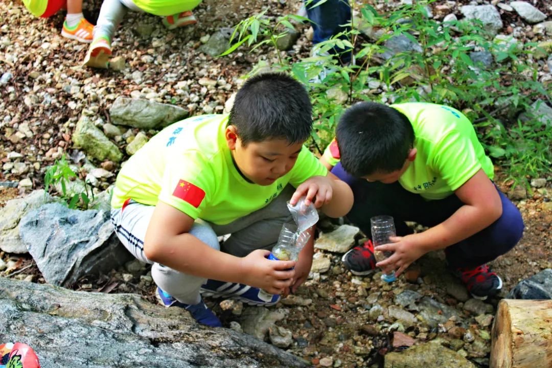 生存饥荒难还是僵尸毁灭工程_生存饥荒试金石可以用几次_饥荒生存