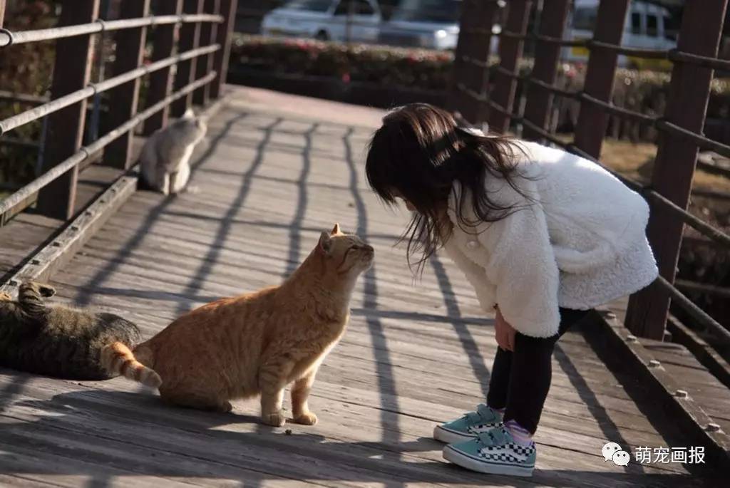 成人片免费观看_猫咪免费人成网站地址_成人影片免费观看