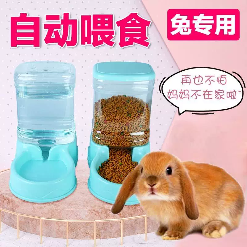 超级兔子打篮球_超级打兔子_超级兔子打工记