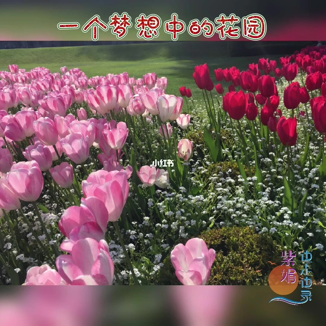 万事无忧_无事无忧_无忧万事帮信息咨询