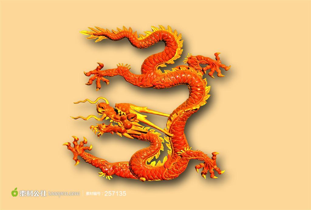 物龙本_龙物_物龙视频1903