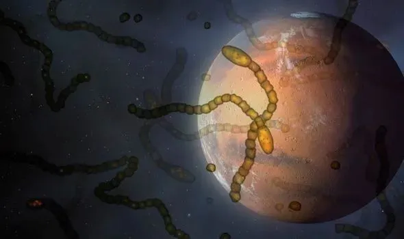 星际移民_星际移民有多难_星际移民局