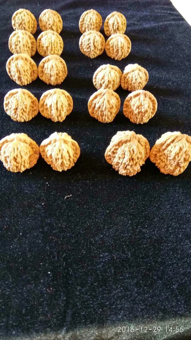 文玩核桃app_核桃APP_核桃app