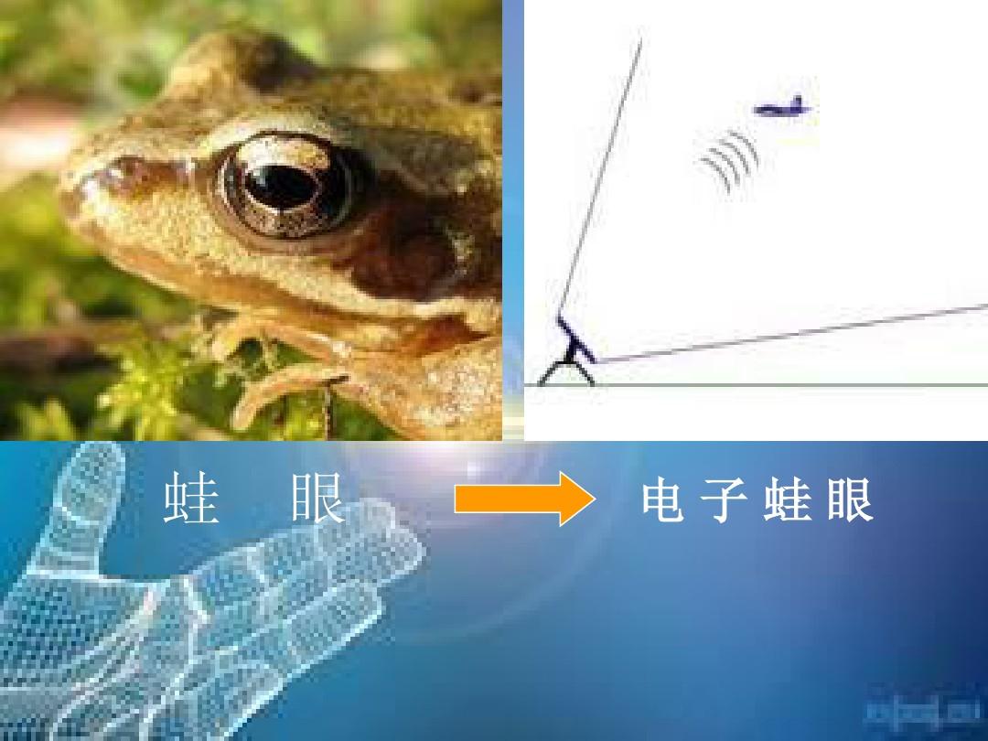 三眼蛙app下载安装_蛙眼视频下载_蛙眼影视下载
