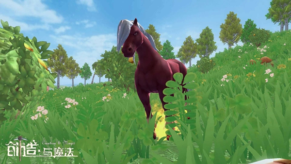 创造与魔法火马饲料_创造与魔法火马饲料_创造与魔法火马饲料