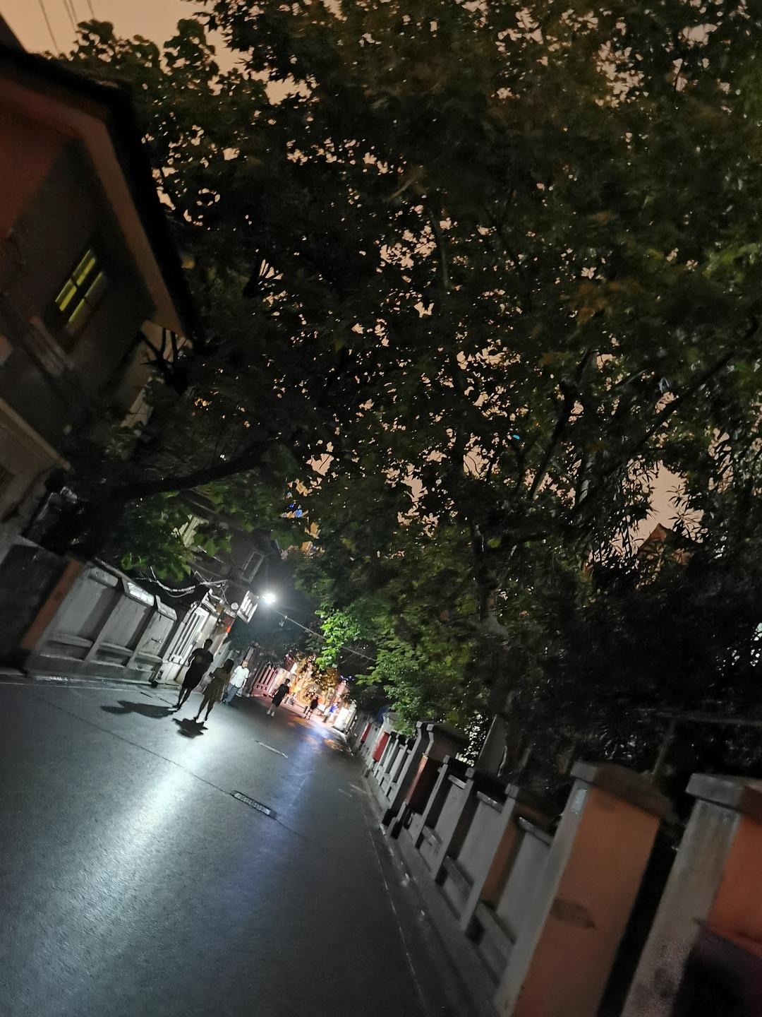 夜色深沉,静谧之中探寻未知 夜色深沉,静谧之中探寻未知