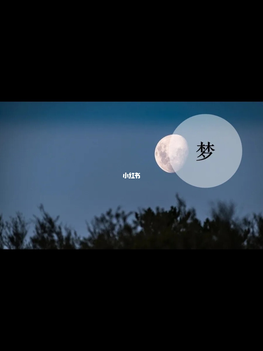 睡眠大师游戏_睡眠大师_执牛耳睡眠大师