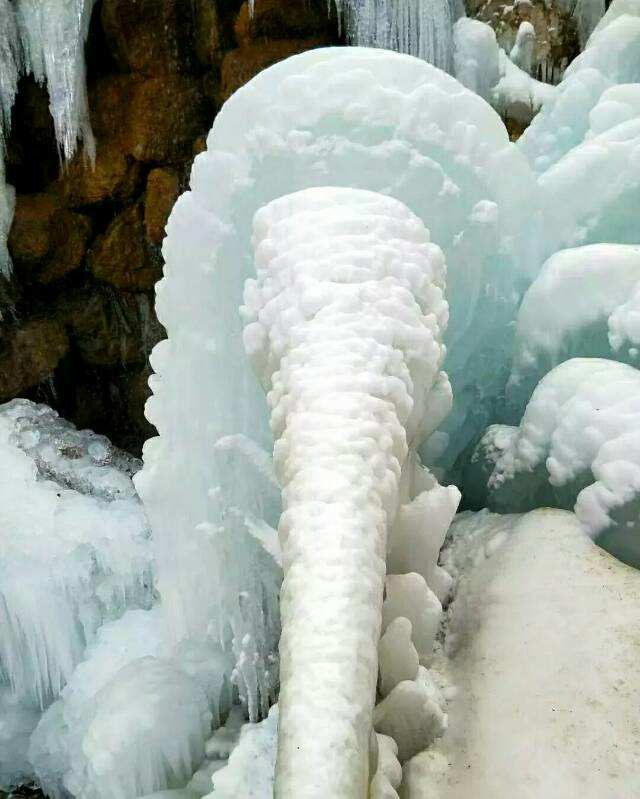 冰砌鹅_冰砌鹅_冰砌鹅