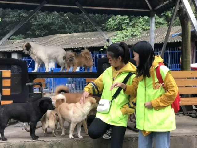 流浪汉无敌版_无敌流浪汉无限血量版_无敌流浪汉内置菜单