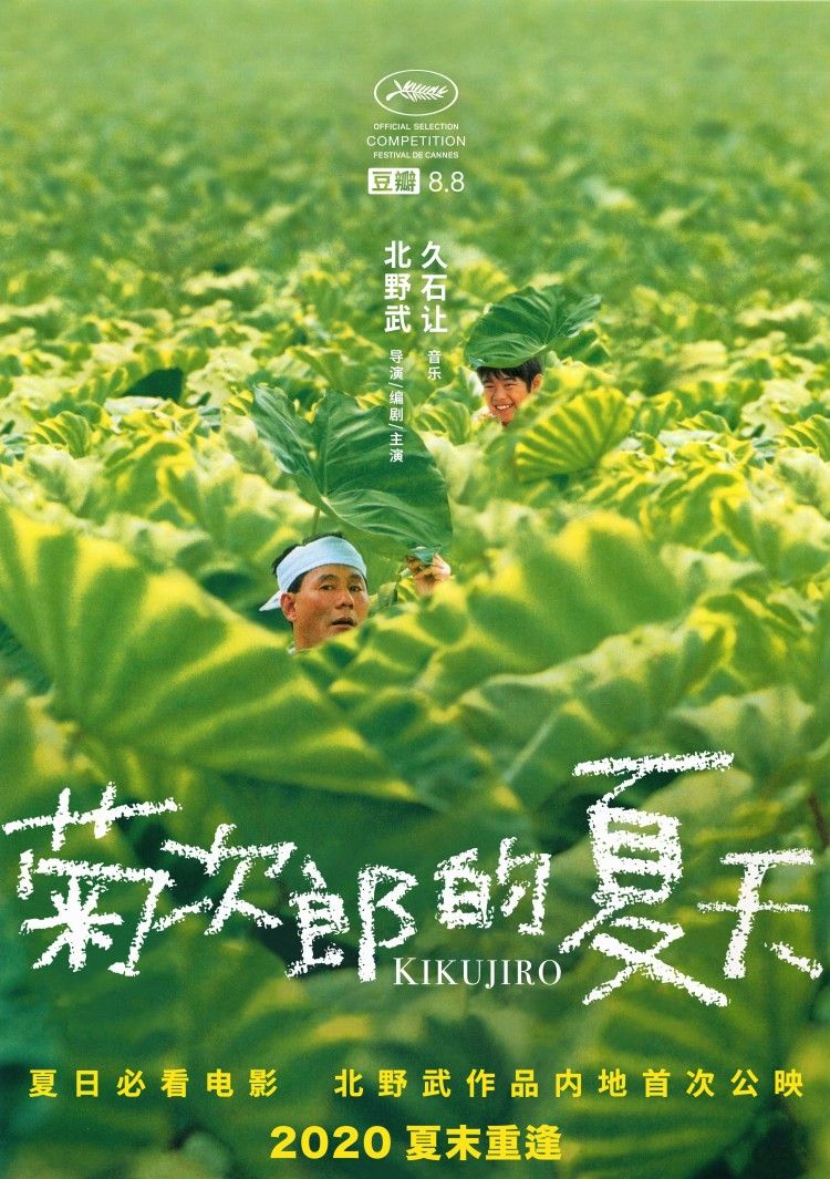 野菊花影院_野菊花是哪个电影的插曲_野菊花吧