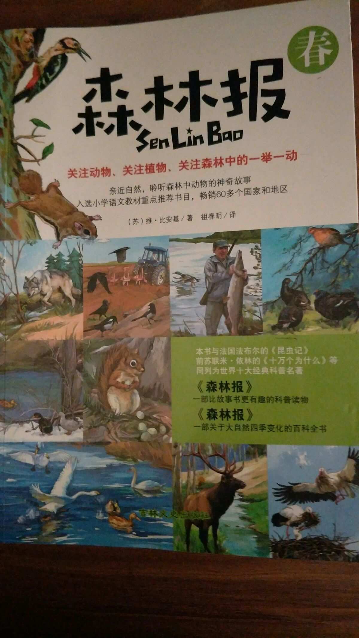 孔斯_孔斯特叶子花毛衣编织图解_孔斯特毛衣编织图解